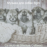 Чувство (Выгул собак) - Музыка для собак Bgm