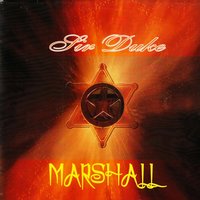 Shake Out the Vibes - Marshall