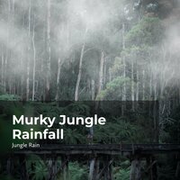 Peaceful Woodland - Nature and Rain & Deep Rain Sampling & Jungle Rain