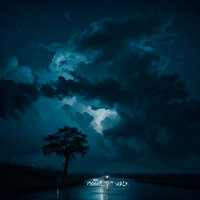 Moonlight Walk - Oggy