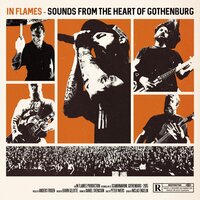 In Plain View - In Flames