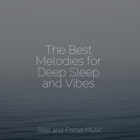 Play with the Music - Preschool Kids & Musica relajante & Baby Sleep