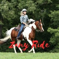 Zany Ride - Jeff Broadbent