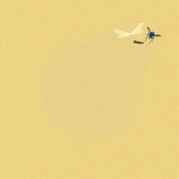 Fly On The Wall - Zefer