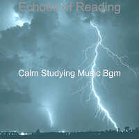 Sumptuous Moods for Deep Focus - Calm Studying Music Bgm