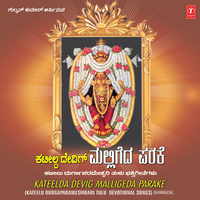 Sri Mahadevi - B. R. Chaya