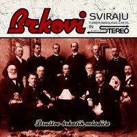 Švaler - Brkovi