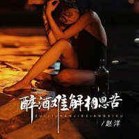 醉酒难解相思苦 - 赵洋