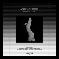 Orgasmic Disco - Antony Toga