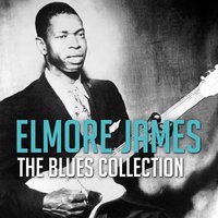 Hawaiian Boogie - Elmore James