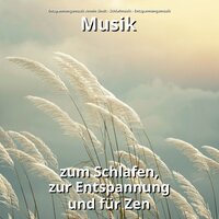 Friedliche Entspannungsmusik zur Heilung - Entspannungsmusik Armin Sindt & Schlafmusik & Entspannungsmusik