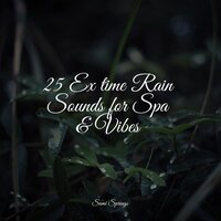 Deep White Noise Rain Umbrella - Masters of Binaurality & Sounds Of Nature Relaxation & Restaurant Background Music
