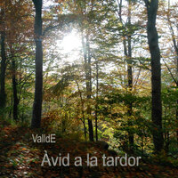 D'improvist - Vallde