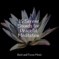 Sonic Soothing - Ambiente & Binaural Beats Isochronic Tones Lab & Meditação Maestro