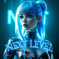 Next Level - D-Enisa