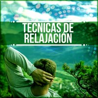 Controlar la Ansiedad - Relajación Música Fondo Conjunto