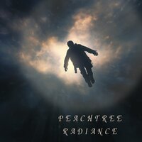 Endurance Symphony - Snatam