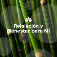 Flujo de Agua - Namaste