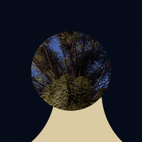 Anauco - Marzian