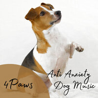 Rasta Dog Music - Dog Sleep Academy & Music For Anxiety & Dog Music Library
