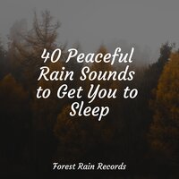 Constant Rains - Rain Sounds XLE Library & Nature and Rain & Música de la Naturaleza