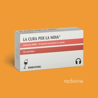 Canzone di un amore che spero possibilmente triste - Redwine & Nick Mantoan