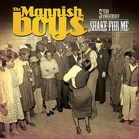 Those Worries - The Mannish Boys & Bobby Jones & Lynwood Slim & Randy Chortkoff & Frank Goldwasser