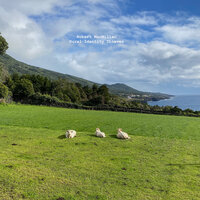 Link Farm - Robert Macmillan