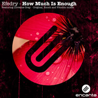 How Much Is Enough - Efedry & Lorraine Gray