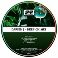 Cantillon Effect - Darien J