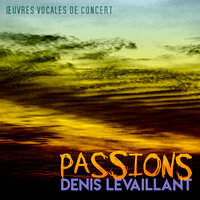 Les Pierres noires: In my Dreams - Chœur de Radio France & Michel Tranchant & Denis Levaillant