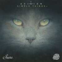 How We Do It - Avision