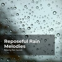 Calm in Rainy Weather - Relaxing Rain Sounds & Rain for Sleep & Rain Drops for Sleep