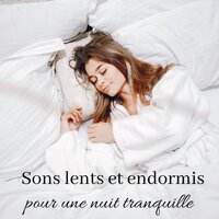 Sérénité - Deep Sleep Music Academy & Sophrologie Musique d'Ambiance