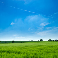 Mindful Harmony - Sleep Sound Library & Breathe & Chillout Lounge