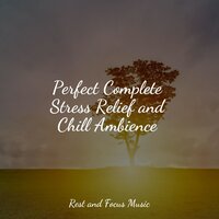 Warm Hearts - Guided Meditation & Zen Meditate & Best Relaxing Spa Music