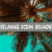 Ocean Sounds - Cold Sea - Weather and Nature Recordings & Coastal Sounds