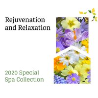 Exotic Nature - Spa Zen Melodies & Spa Music Relaxation