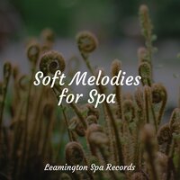 Unwind, De-Stress - Sound of Rain & Guided Meditation Music Zone & Sleep Makers Samples