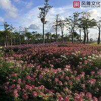 昔年 - 一只千纸鹤
