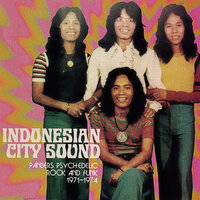 Indonesia my lovely Country - Panbers