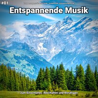 Beglückende Echos - Entspannungsmusik Armin Sindt & Schlafmusik & Entspannungsmusik