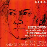 Trio for Piano, Clarinet and Cello in B-Flat Major, Op. 115 "Gassenhauer": I. Allegro con brio - Anthony Spiri & Ludwig van Beethoven