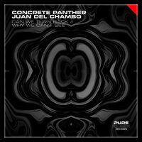 Can We Turn Back - Concrete Panther