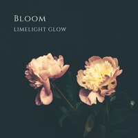 On Your Side - Limelight Glow