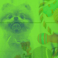 Fiery Doggy Naptime - Music for Dogs Ambience