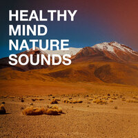 Sounds from a Field: Larks and Crickets - Echoes of Nature