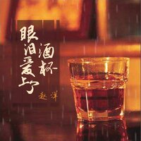 眼泪爱上了酒杯 - 赵洋