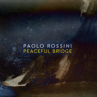 Fields Of Serenity - Paolo Rossini & Andrea Bettini