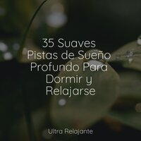 Día Soleado - Relajante Academia de Música Zen & Sonidos De La Naturaleza & Relajante Musica